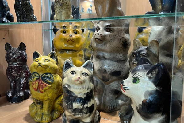 В Калугу за котами — экскурсия в уникальный калужский КотМузей