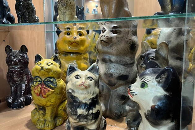 В Калугу за котами — экскурсия в уникальный калужский КотМузей