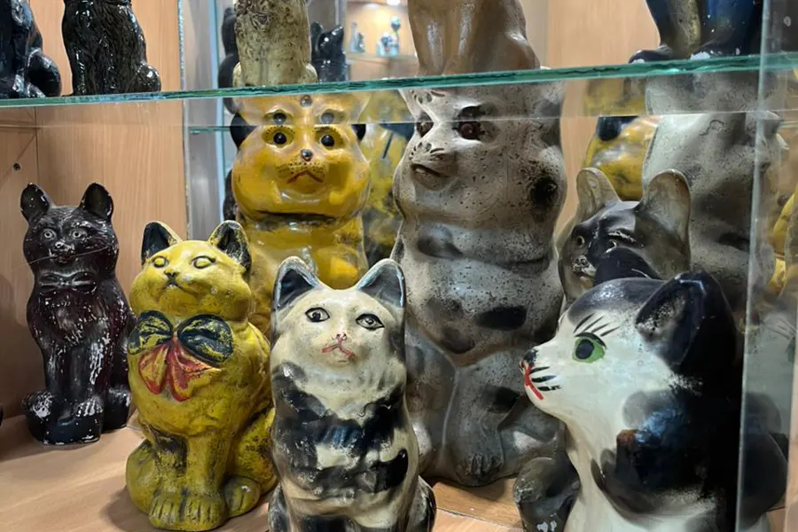 В Калугу за котами — экскурсия в уникальный калужский КотМузей — фото 1