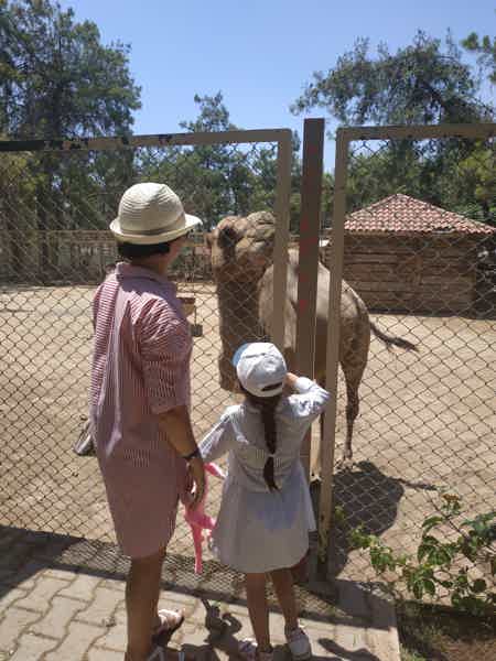 Зоопарк в Анталье - фото 3
