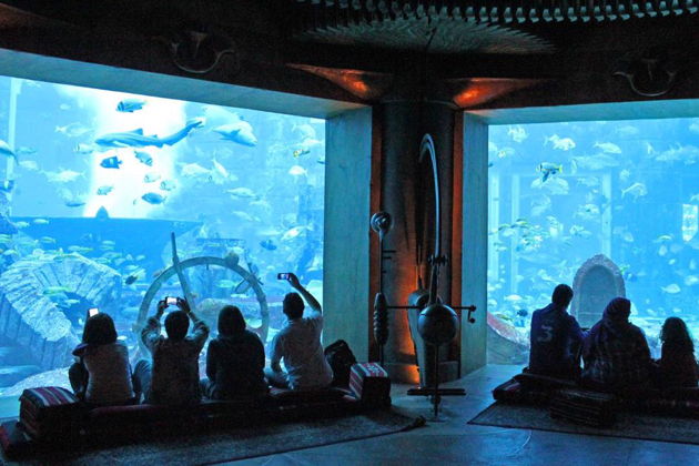 Виды Секреты подводного мира: аквариум Lost Chambers (входной билет)