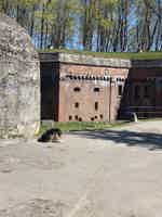 Экскурсия "Форты и бастионы Кёнигсберга" - фото отзыва 2