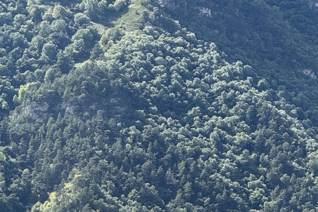 Виды Впечатляющее Чегемское ущелье 