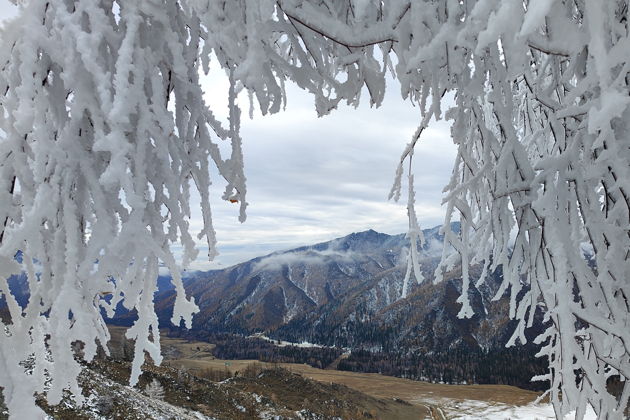 Сердце Горного Алтая: перевалы Семинский и Чике-Таман и пороги реки Катунь