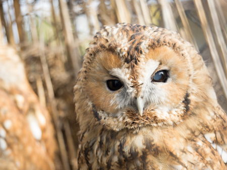 Минский зоопарк