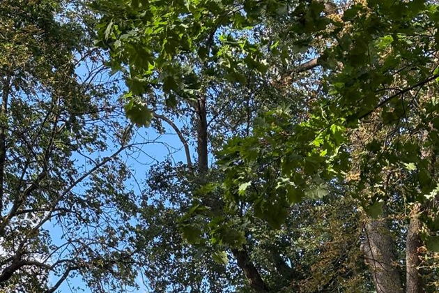 Виды Фридланд и Гердауэн (Правдинск и Железнодорожный)