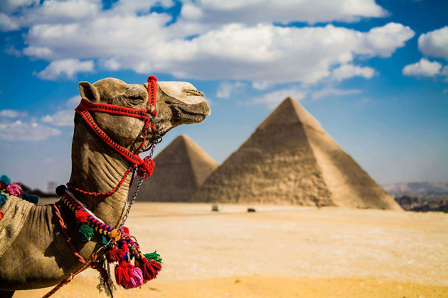Поездка в Каир к  великим пирамидам
