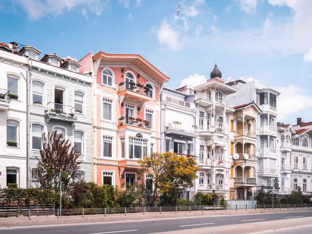 ����� ������ �������