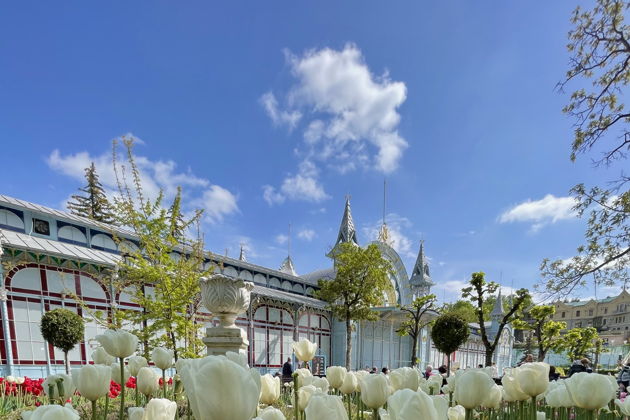 Виды Пятигорск, Кисловодск, гора Кольцо и «Медовые водопады» 