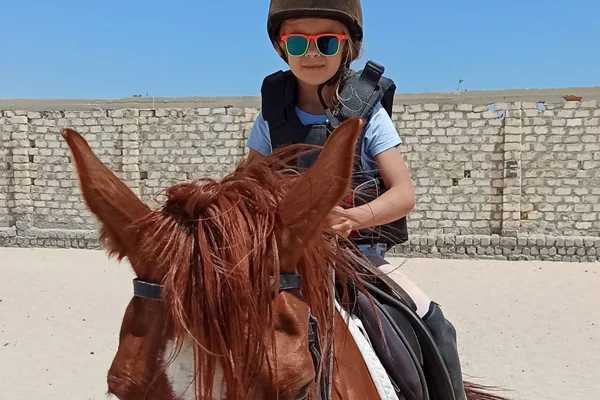 Horseriding in Hurghada — photo 6, Hurghada | Pokataem