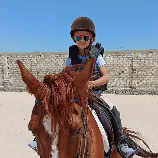 Прогулки на лошадях в Хургаде для новичков и опытых всадников - фото 5