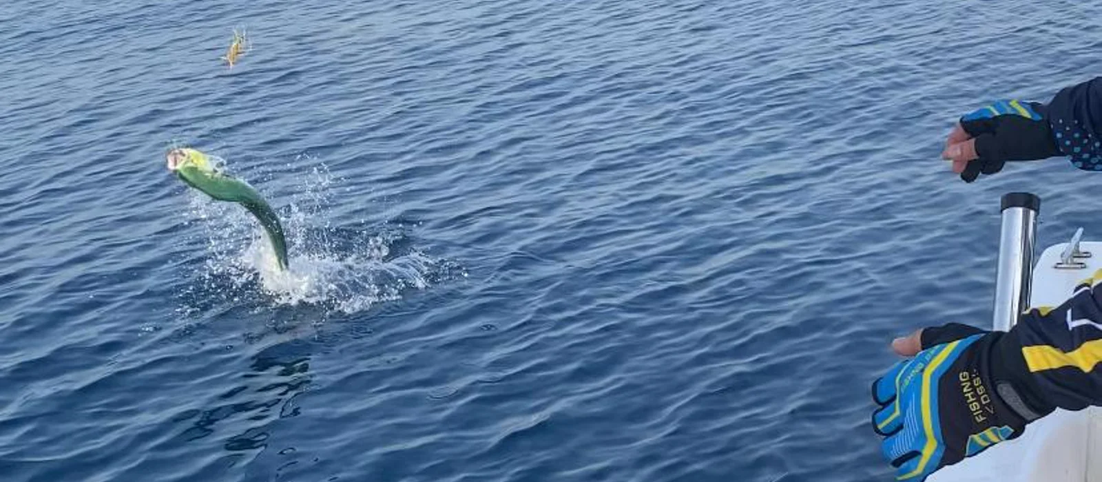 Fishing in Fujairah: Tuna, Mahi-Mahi — tour in Dubai, UAE | Pokataem