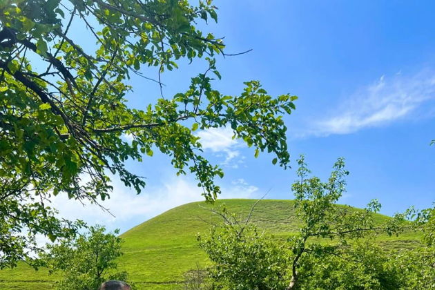 Виды Гастрономическое путешествие в сердце Кахетии — вкус, традиции и эмоции