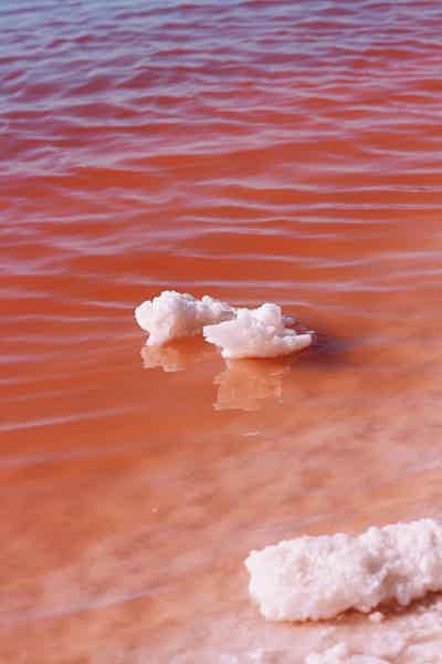 Фототур на розовое озеро Сасык-Сиваш - фото 1