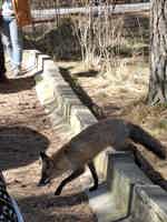 Экскурсия "Путешествие к белым дюнам и синему морю" - фото отзыва 4