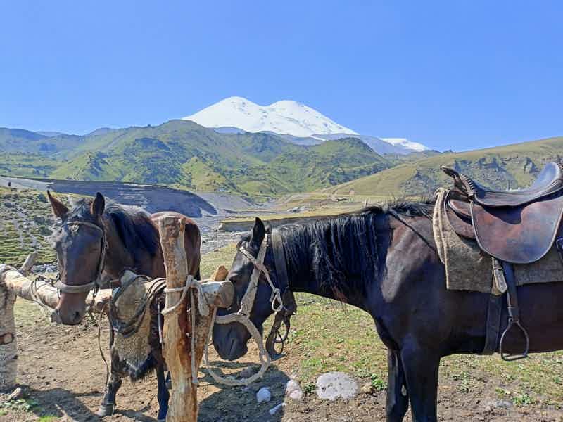 Джилы-Су и Северная Осетия — самые популярные локации Кавказа  - фото 4