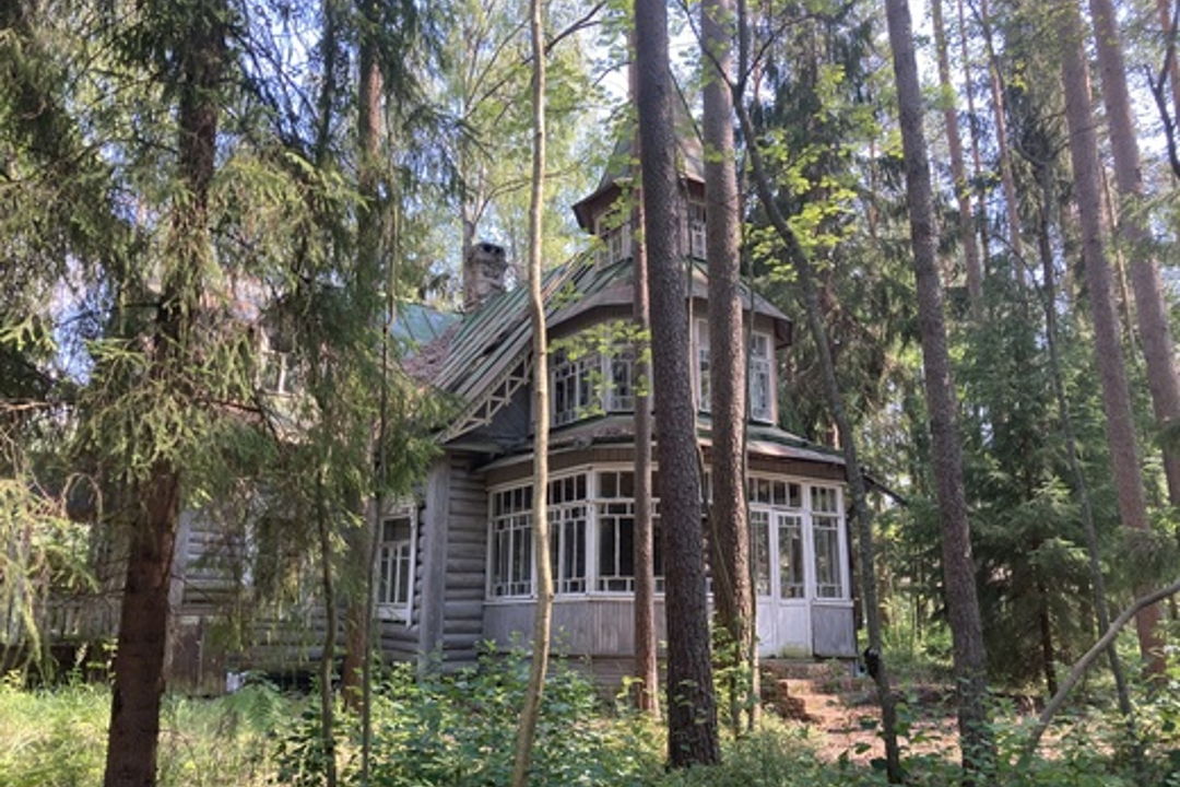 Комарово (Лесная сторона). От старинных дач до "будки" Ахматовой. — фото 1