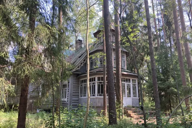 Комарово (Лесная сторона). От старинных дач до "будки" Ахматовой. — фото 2