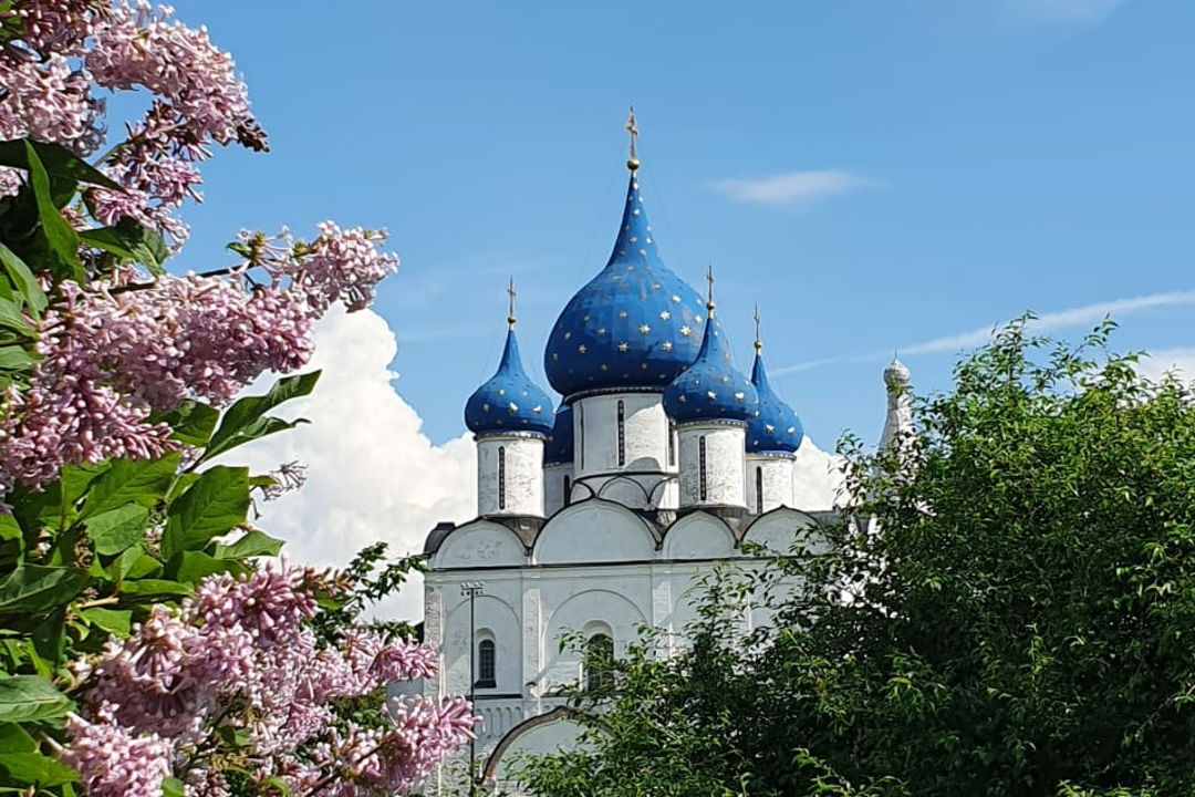 Прогулка по городу с коренным суздальцем — фото 1
