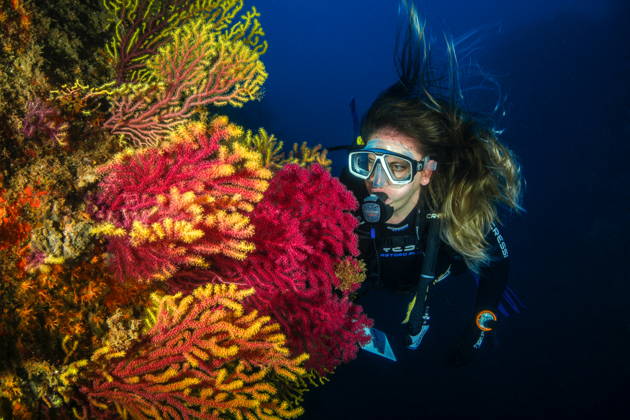 Курс по дайвингу — начальный уровень PADI Open Water