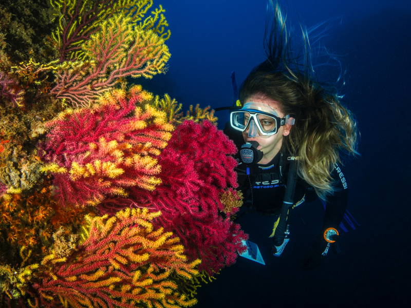 Курс по дайвингу — начальный уровень PADI Open Water