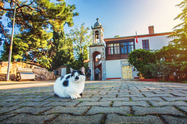 Фотопрогулка на Принцевы Острова