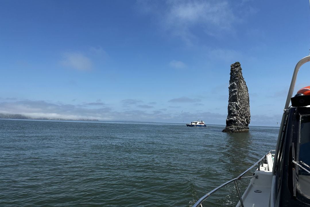 Морская прогулка к острову Старичков: морская рыбалка и крабовое сафари — фото 5