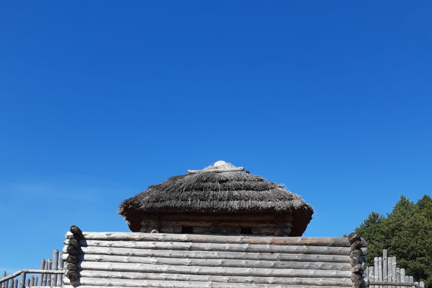 Виды В Беловежскую пущу на майские праздники