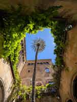 Экскурсия "Барселона: Легенды и тайны Старого Города" - фото отзыва 3