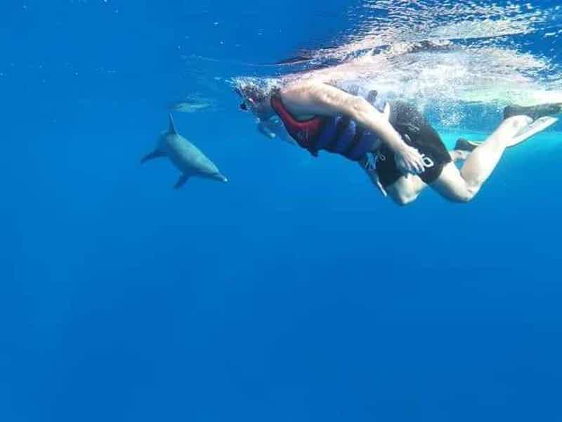 Дом дельфинов: тур на яхте и погружение с маской - фото 3