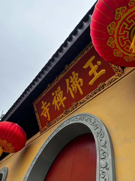 VIP-тур по Шанхаю на один день с отправлением из аэропорта или отеля - фото 3