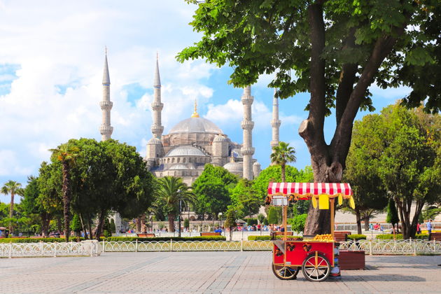 Виды Экскурсия по площади Султанахмет — погружение в историю Стамбула