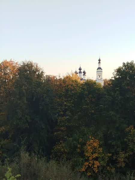 Сердце Плёса: история, вдохновение и волжские панорамы - фото 4