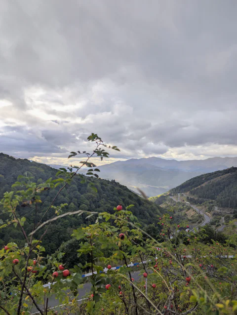 Голубое озеро и горные курорты Армении: Севан, Дилижан и Цахкадзор