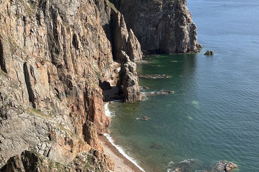 Морское путешествие к островам Японского моря и котикам — фото 1