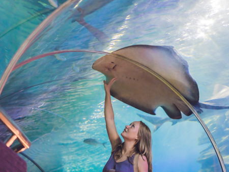 Форт Фуджейра