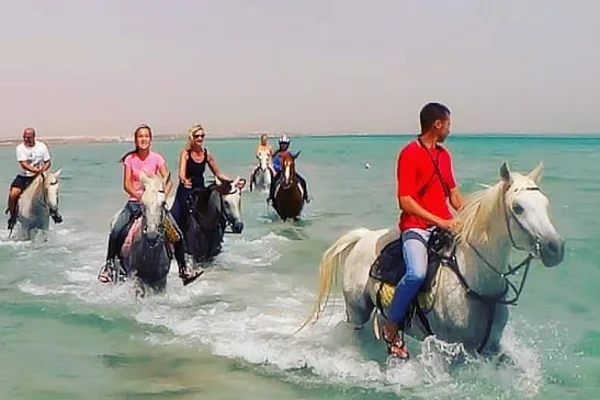 Horseriding in Hurghada — photo 7, Hurghada | Pokataem