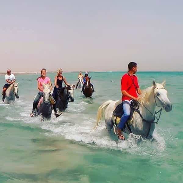 Прогулки на лошадях в Хургаде для новичков и опытых всадников - фото 6