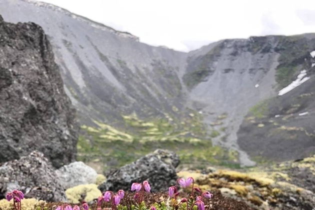 Виды Хибиногорск и красоты древнейших гор на планете