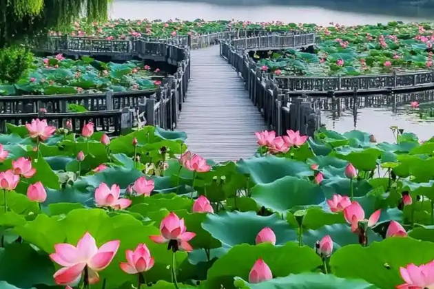 Из Шанхая в город Ханчжоу