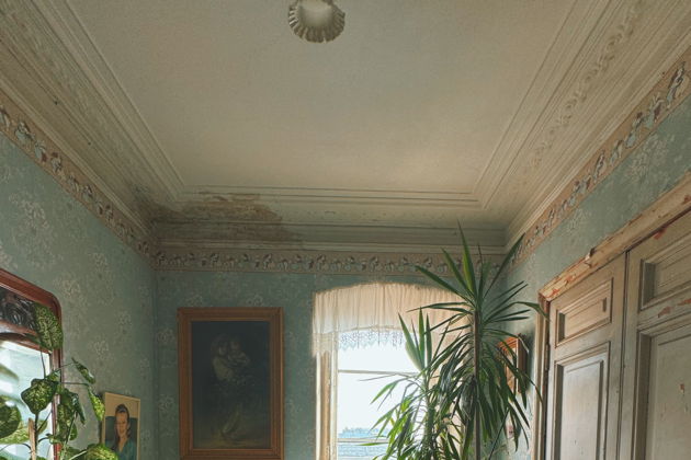 Виды Петербургская история на лестнице дома Бака: от парадной до коммуналки