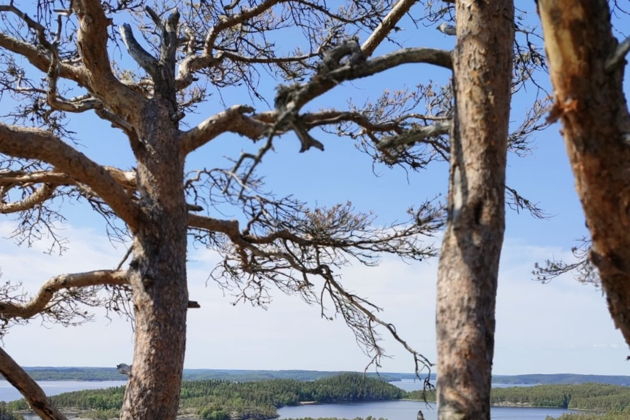 Виды Ладога вне шаблонов: индивидуальное путешествие по шхерам 