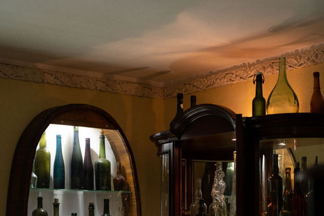 Виды Очарование Ратсхофа