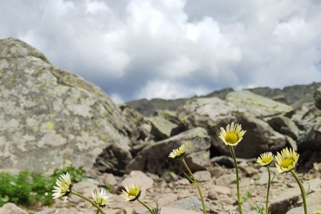 Виды Каракольские озера