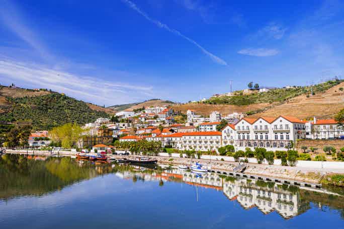 Porto: 3 Douro Valley Vineyards Tour with Lunch