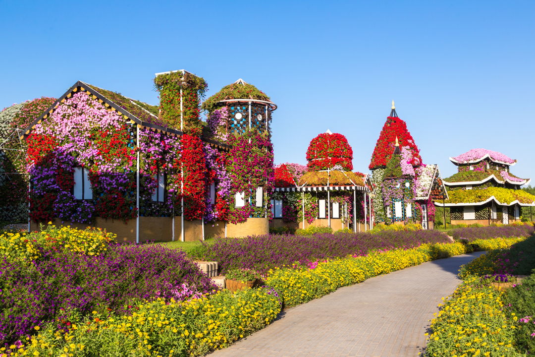 Парк цветов Miracle Garden: входной билет — фото 2