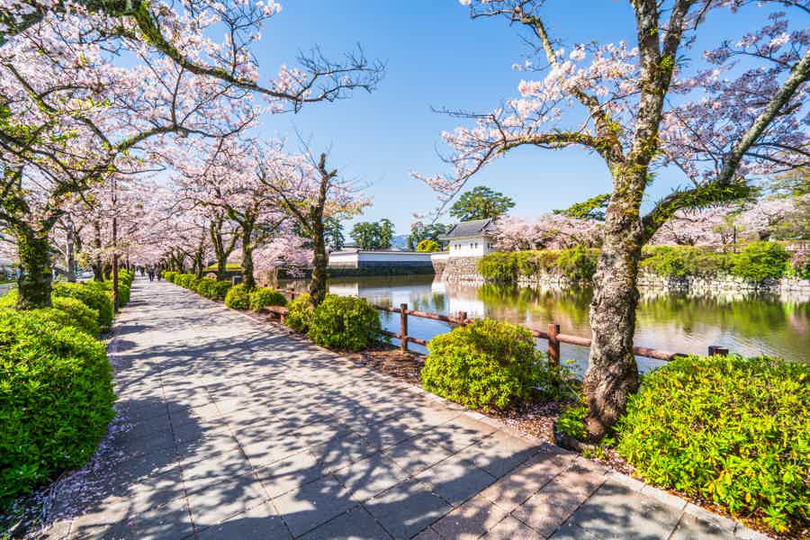 День у подножия Фудзиямы — замок Одавара и природа Хаконе - фото 3