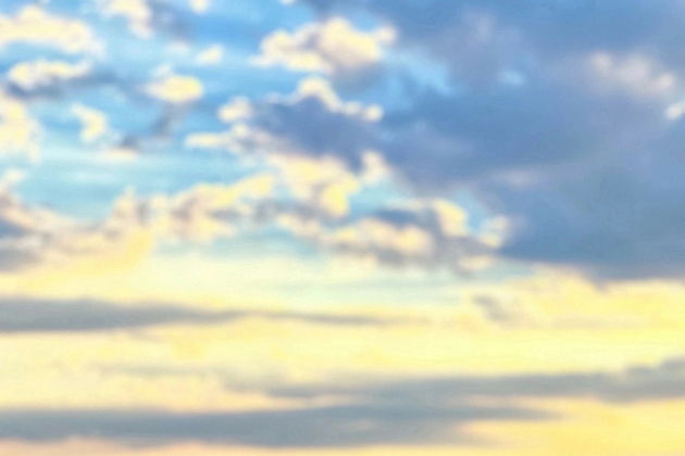 Виды Коса до пояса: национальный парк «Куршская Коса»