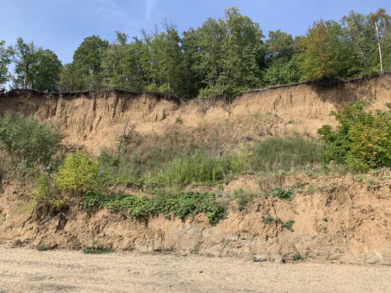 Целебная вода Ундор и динозавры Ульяновска - фото 6