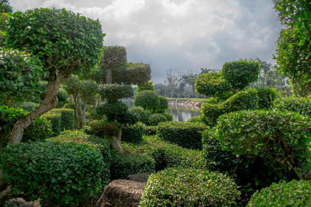 Фото к экскурсии Тропический сад Нонг Нуч: почувствуйте красоту и культуру Таиланда